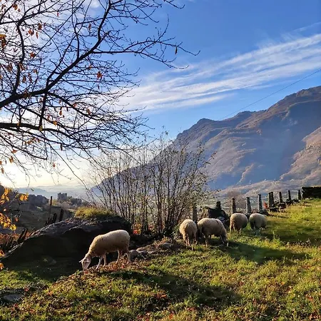 Al Vecchio Torchio 3*