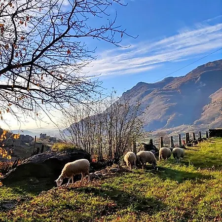 Oda ve Kahvaltı Al Vecchio Torchio Settimo Vittone