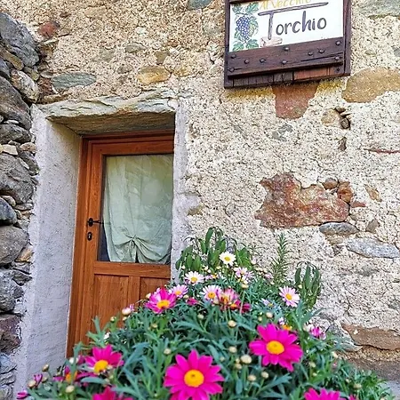 Al Vecchio Torchio Oda ve Kahvaltı Settimo Vittone