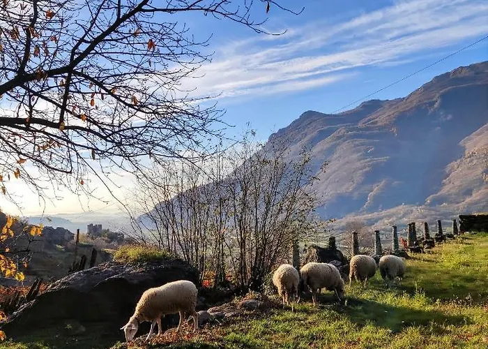Al Vecchio Torchio 3*