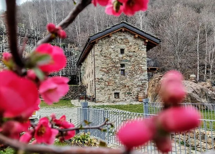 Al Vecchio Torchio